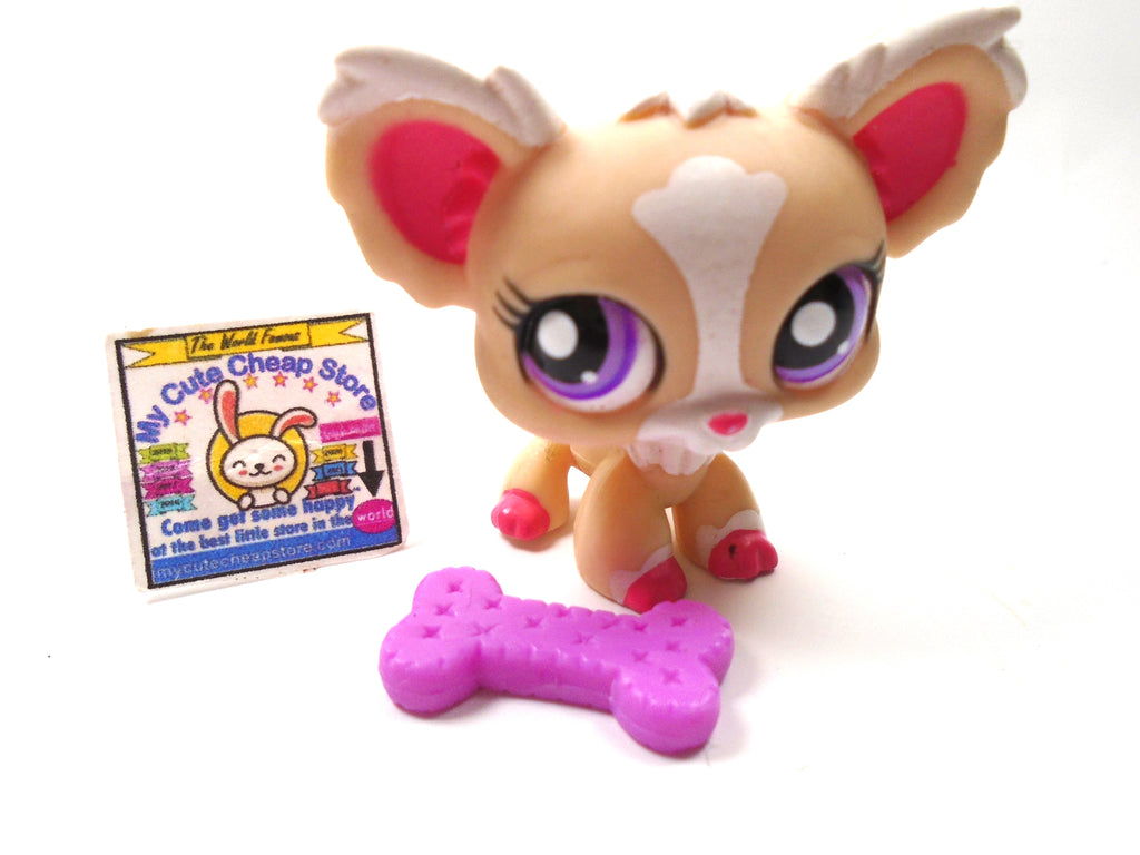 Littlest Pet Shop Chihuahua dog #1892 with a bone