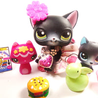 Littlest Pet Shop black short hair cat #336 with cute accessories