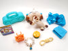 Littlest Pet Shop Dachshund #1491 with cute accessories