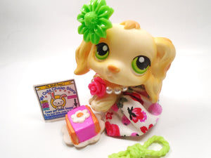 Littlest Pet Shop Cocker Spaniel #347 with cute accessories