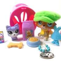 Littlest Pet Shop Collie #58 "Sage' with cute and unique accessories