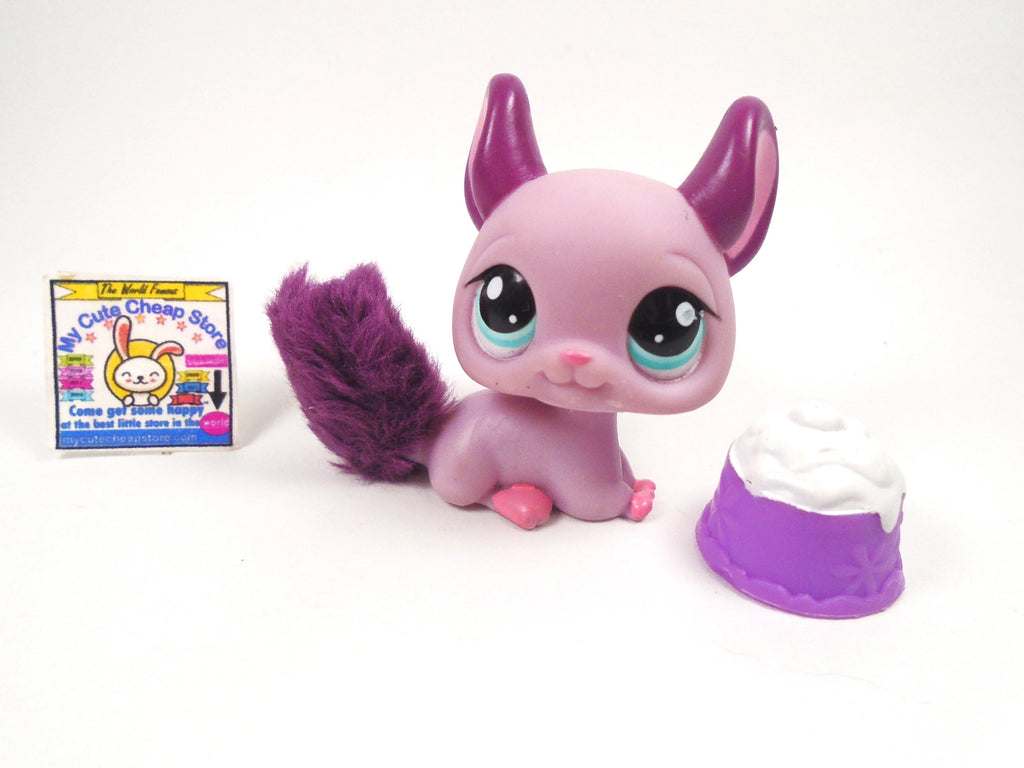 Purple Cute Chinchilla Beige Violet Chinchilla Softy, Gorgeous