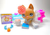 Littlest Pet Shop Rare Advent Calendar German Shepard #2196 with accessories - My Cute Cheap Store