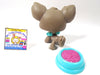 Littlest Pet Shop Chihuahua #836 with original accessories
