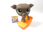 Littlest Pet Shop Greyhound # 319 with accessory