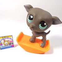 Littlest Pet Shop Greyhound # 319 with accessory