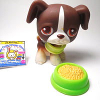 Littlest Pet Shop Boxer dog #287 with accessories