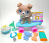 Littlest Pet Shop Grey Collie #67 with cute accessories authentic - My Cute Cheap Store