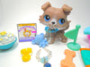 Littlest Pet Shop Grey Collie #67 with cute accessories authentic - My Cute Cheap Store