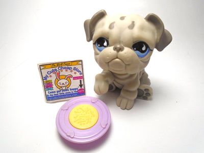 Littlest Pet Shop Bulldog #508 with a plate