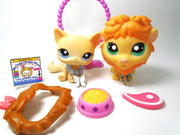 Littlest Pet Shop Sassiest cat #1005 and lion #1004 with accessories