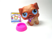 Littlest Pet Shop Pug #1312 with accessories