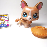 Littlest Pet Shop Shimmer Corgi #871 with accessory