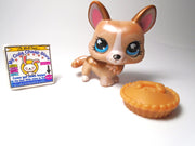 Littlest Pet Shop Shimmer Corgi #871 with accessory