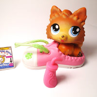 Littlest Pet Shop Pomeranian dog #1317 with accessories