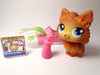 Littlest Pet Shop Pomeranian dog #1317 with accessories