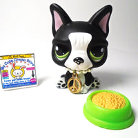 Littlest Pet Shop French Bulldog #1762 with accessories