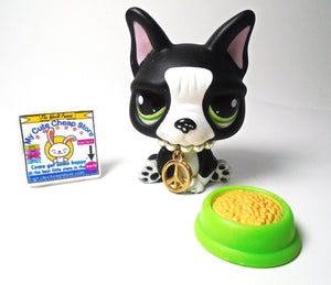 Littlest Pet Shop French Bulldog #1762 with accessories