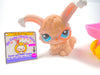 Littlest Pet Shop Angora Bunny Rabbit #1471 with cute accessories authentic