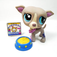 Littlest Pet Shop Greyhound dog #1897 with accessories