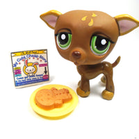 Littlest Pet Shop Greyhound dog #507 with accessories