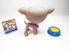 Littlest Pet Shop Greyhound dog #1897 with accessories