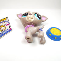 Littlest Pet Shop Greyhound dog #1897 with accessories