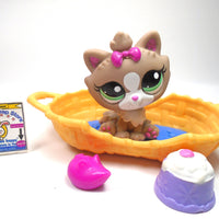 Littlest Pet Shop Himalayan cat #2640 with accessories