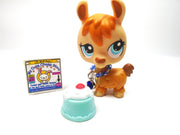 Littlest Pet Shop Llama #1460 with accessory