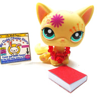 Littlest Pet Shop Postcard cat #1231 with accessories