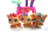 Littlest Pet Shop triplet kittens #1335, #1336, #1337 with a cat tree