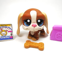 Littlest Pet Shop Basset Hound #1655 with accessories