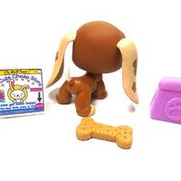 Littlest Pet Shop Basset Hound #1655 with accessories