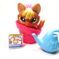 Littlest Pet Shop Fox #1028 with accessories