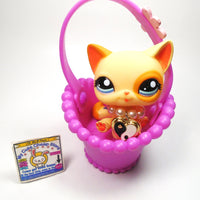 Littlest Pet Shop cat #1521 with accessories