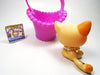 Littlest Pet Shop cat #1521 with accessories