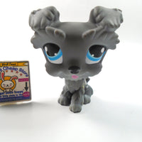 Littlest Pet Shop Scottie Schnauzer # 1393