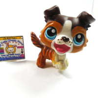 Littlest Pet Shop Collie #237