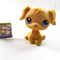 Littlest Pet Shop Golden Retriever #268