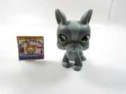 Littlest Pet Shop Boston Terrier #857