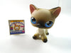 Littlest Pet Shop Siamese cat #5