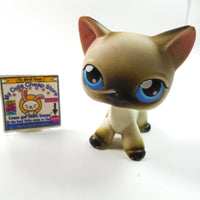 Littlest Pet Shop Siamese cat #5