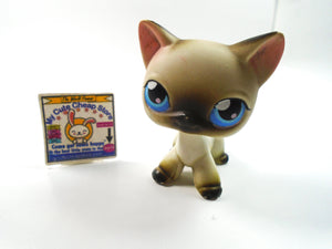 Littlest Pet Shop Siamese cat #5