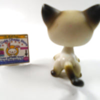 Littlest Pet Shop Siamese cat #5