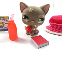 Littlest Pet Shop Gray sitting cat #437 with accessories