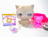 Littlest Pet Shop Grey Persian Cat #263 with cute accessories authentic - My Cute Cheap Store