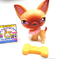 Littlest Pet Shop Chihuahua #1 with accessories