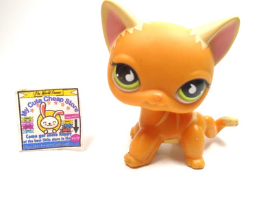 Littlest Pet Shop short hair cat #525