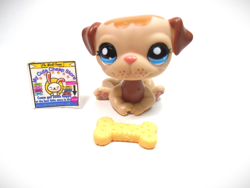 Littlest Pet Shop Pug #1753 with a bone