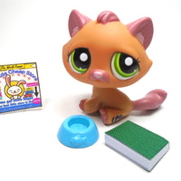 Littlest Pet Shop Taby cat #1710 with accessories